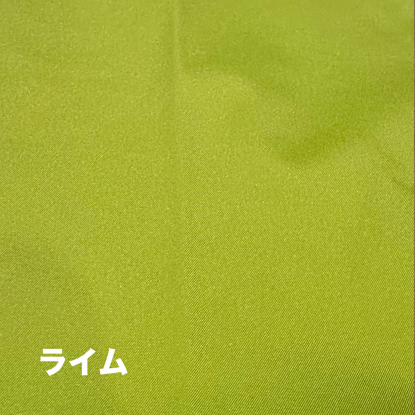 レインウェア(前立てあり)